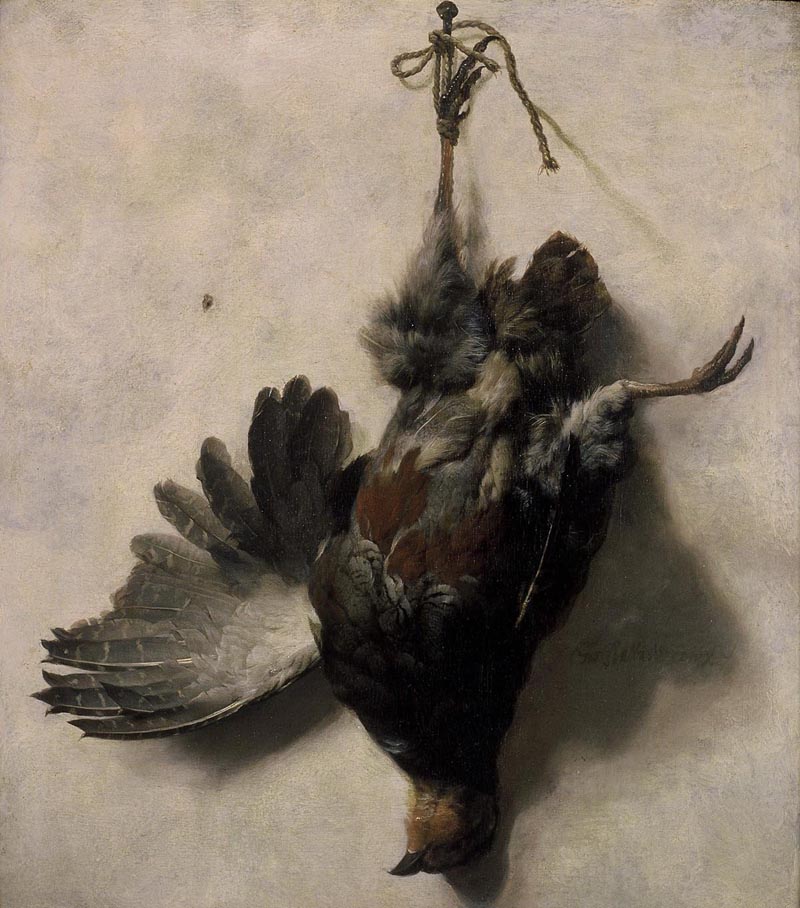 Dead Bird - 1656