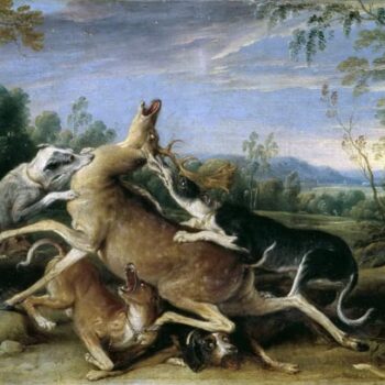 Deer Hunting