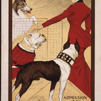 Dog Show 2