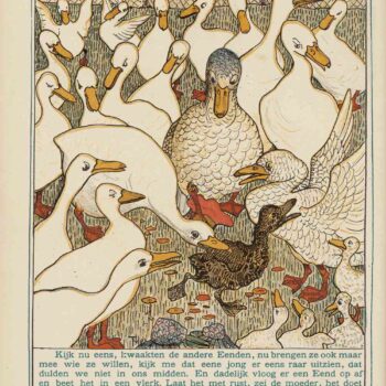 Ducks