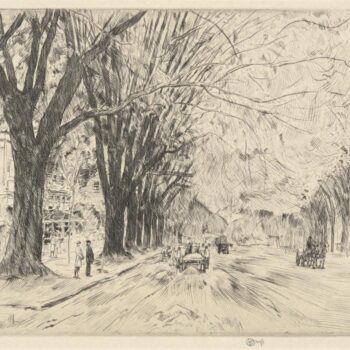 Easthampton's Elms in May, 1925