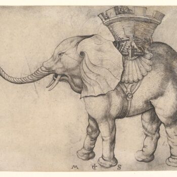 Elephant