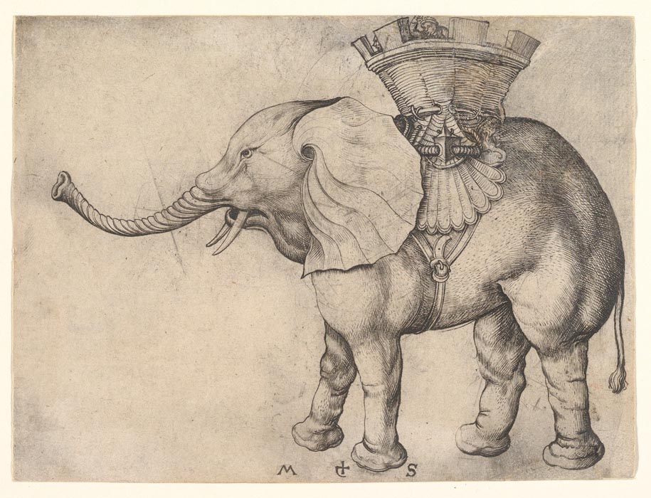 Elephant