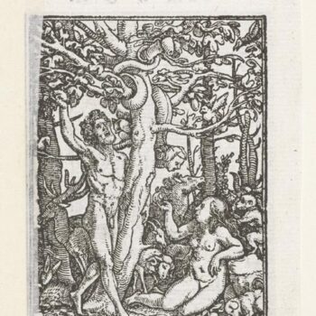 Fall. 1524-26--1538
