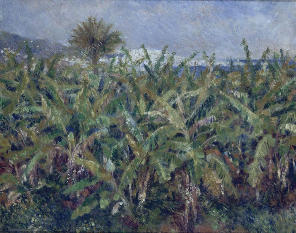 Field of Banana Trees, 1881 (Google Art Project version)