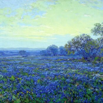 Field of Bluebonnets under Cloudy Sky