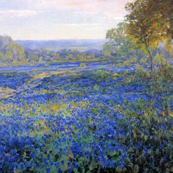 Fields of Bluebonnets, 1920