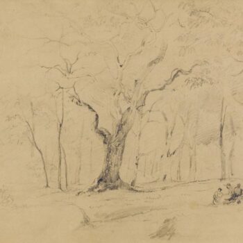 Figures Sitting in the Forest