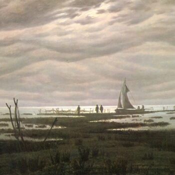Flat country shank at Greifswalder Bodden