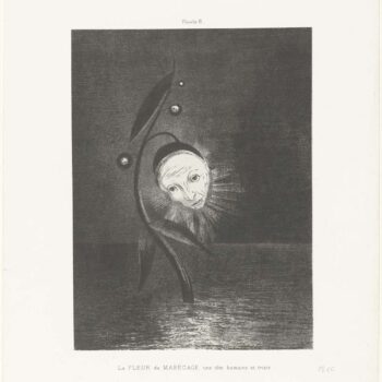 Flower of a Marsh, 1892