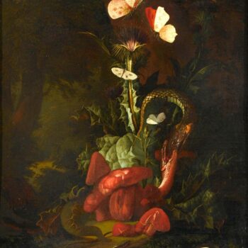 Forest landscape with thistle, mushrooms, butterflies, lizards and snakes