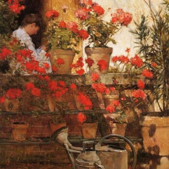 Geraniums, 1888