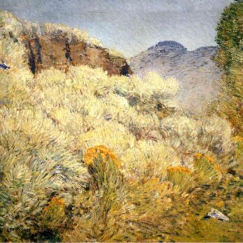 Harney Desert, 1908