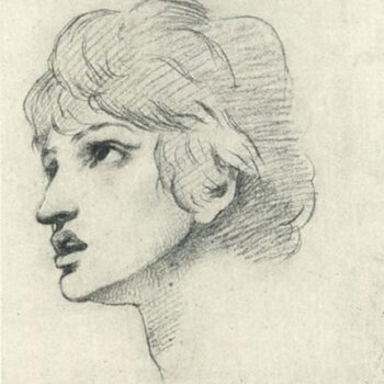 Head of a Youth
