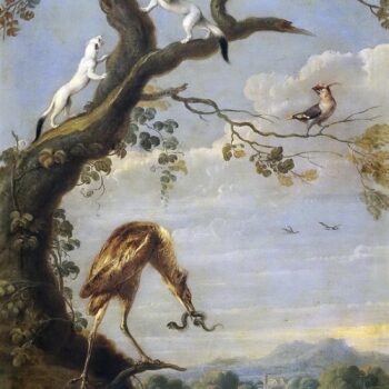 Herons and stoats