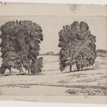 Hickories in a Hay Field, 1917