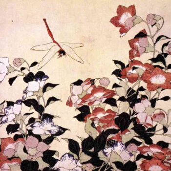 Hokusai - Chinese bell flower and dragon-fly