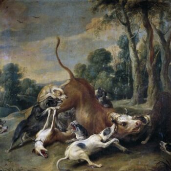 Hunted bull