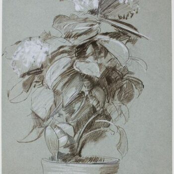 Hydrangeas, 1887