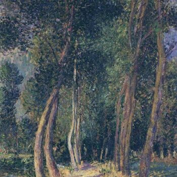 In the Woods