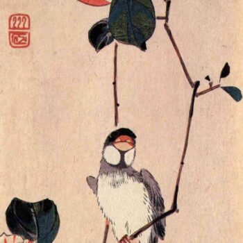 Java sparrow on a magnolia branch by Hiroshige
