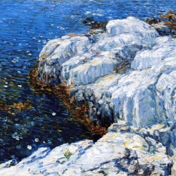 Jelly Fish, 1912