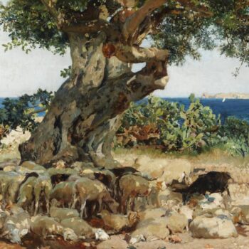 Joaquin Sorolla y Bastida - Algarrobo