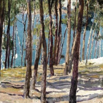 Joaquin Sorolla y Bastida - Pinos de Galicia
