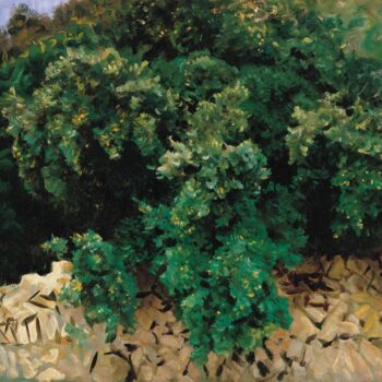 John Singer Sargent - Carrascal. Mallorca