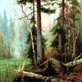 KLEVER Iuliiy - Debri (the wilds)