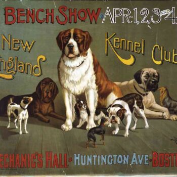Kennel Club