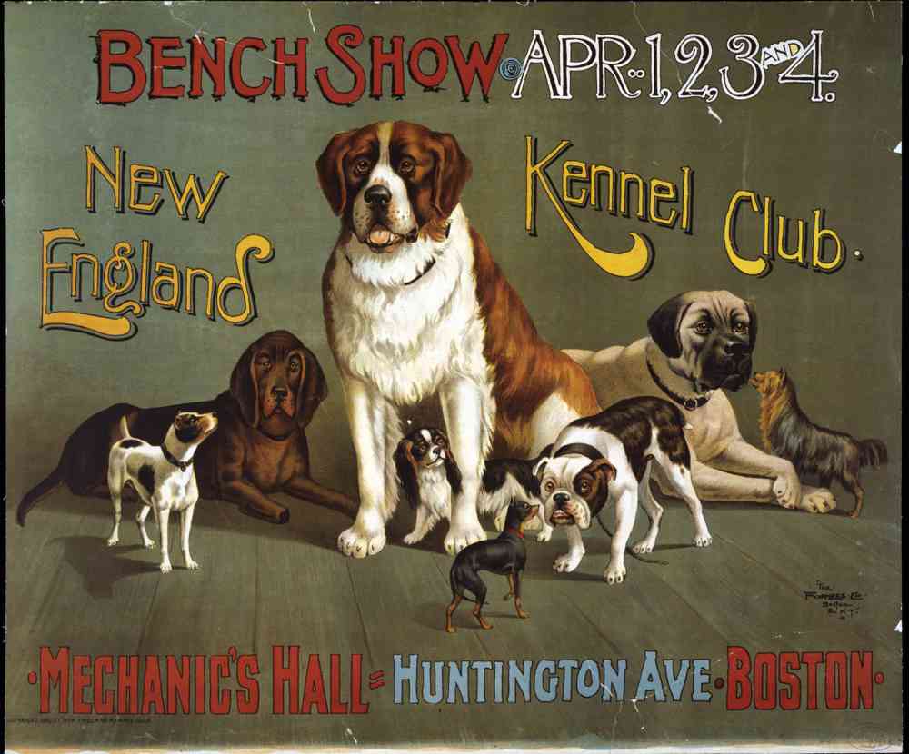 Kennel Club