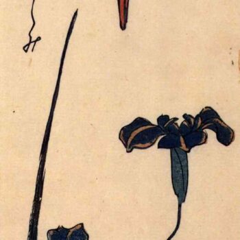 Kingfisher and lilies 2 by Hiroshige