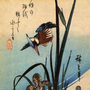 Kingfisher and lilies by Hiroshige