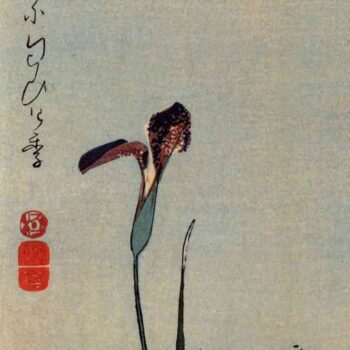 Kingfisher with lilies by Hiroshige