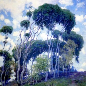 Laguna Eucalyptus, 1917