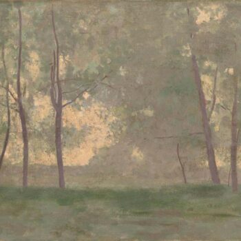 Landscape, 1900s