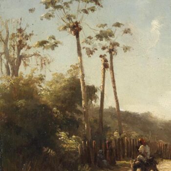 Landscape of Antilles, Donkey`s Rider on the Road, 1856