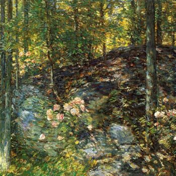 Laurel on the Ledges, 1906