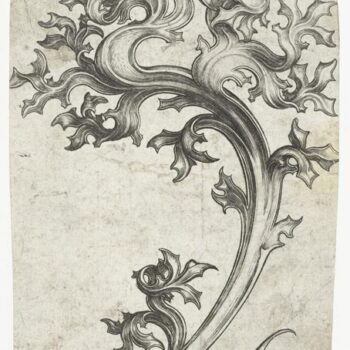 Leaf ornament (thistle). 1470-1490