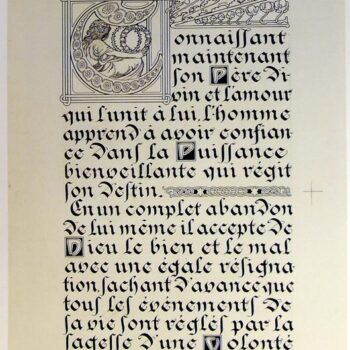 Lepater8