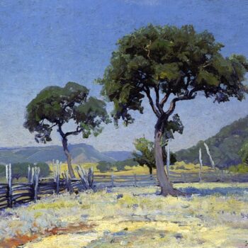 Live Oak Trees on Williams' Ranch, Bandera County, 1915