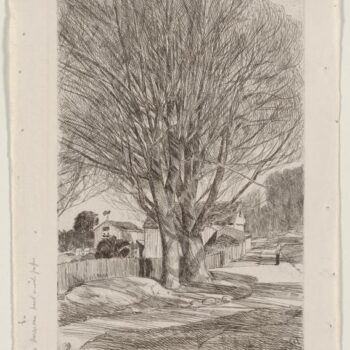 Maples in Early Spring, 1931