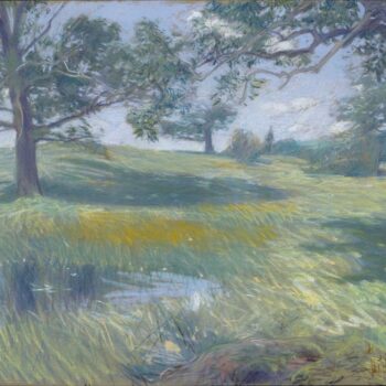 Meadows, 1900-10