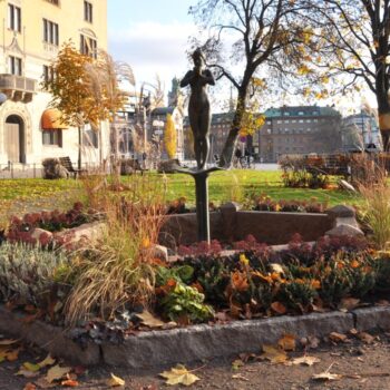 Morgonbad, Rosenbadsparken a