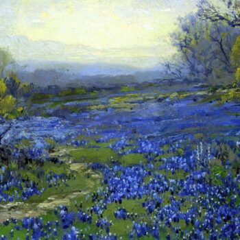 Morning in the Bluebonnets