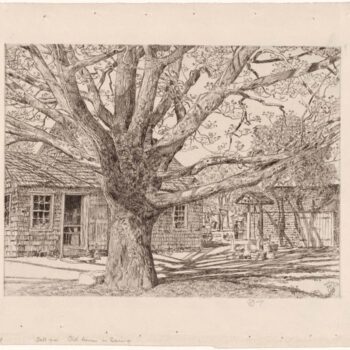 Oak and Old House in Spring, 1931
