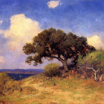 Old Live Oak, 1910
