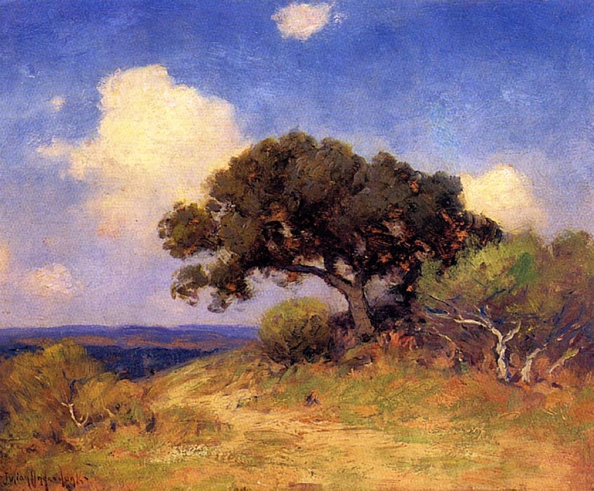 Old Live Oak, 1910