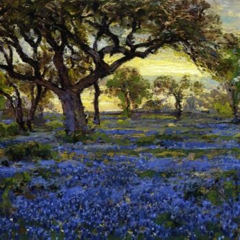 Old Live Oak Tree and Bluebonnets on the West Texas Military Grounds, San Antonio, 1919-20